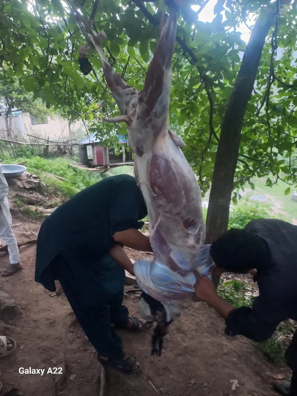 Post-Eid Distribution